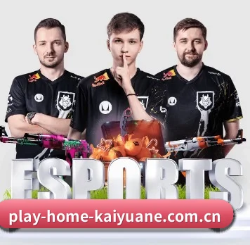 play-home-kaiyuane.com.cn APP